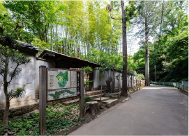 等々力渓谷公園