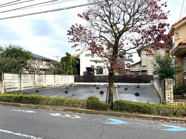 現地写真