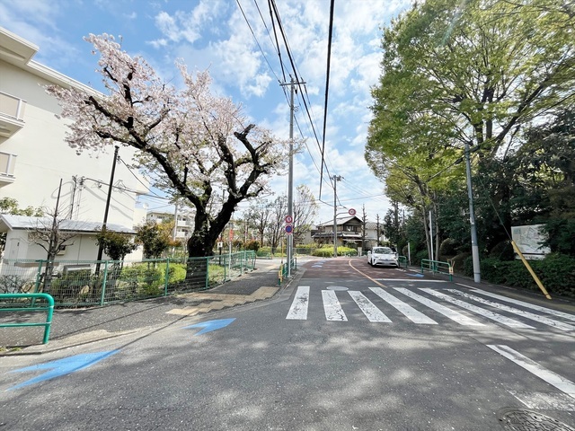 現地からの景色